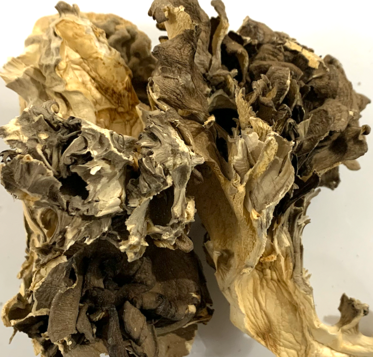 Non-irradiated organic maitake mushroom powder 4oz (113g)