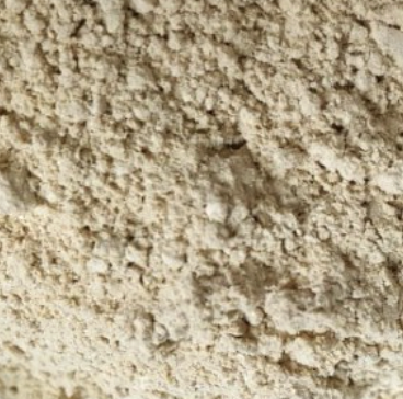 Non-irradiated organic shiitake mushroom powder 4oz (113g)