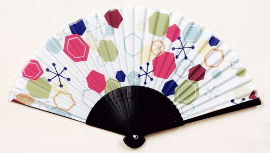 Japanese folding fan with case