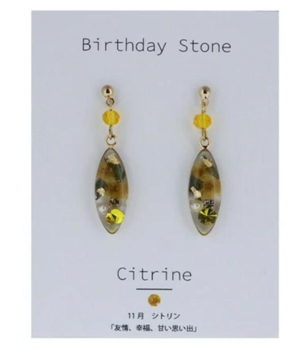 Birthday stone & dried flower earrings with titanium post